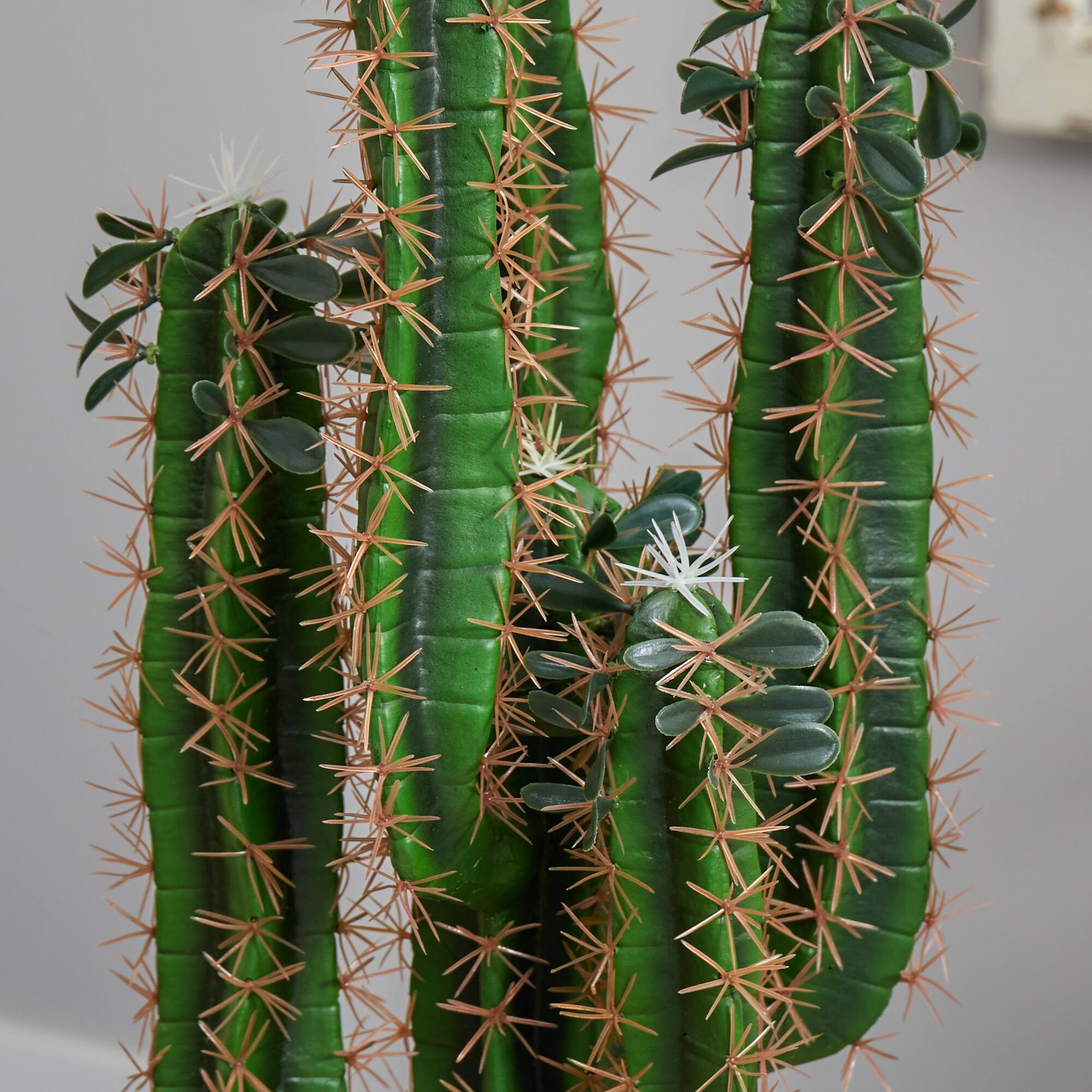 2.5ft. Cactus in Bowl Planter